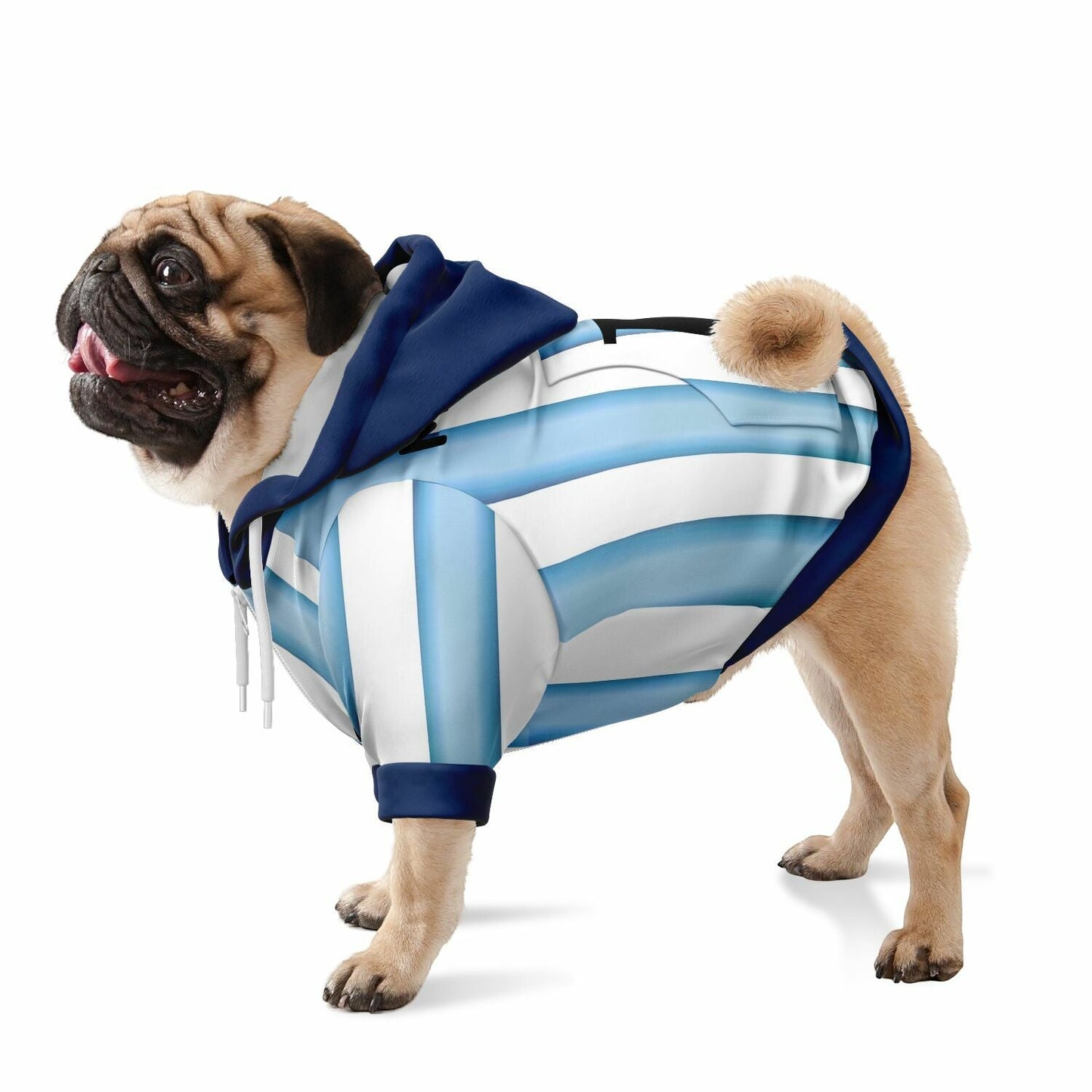 Dog wearing personalized Argentina national team zip up hoodie football fan outfit World Cup 2026
