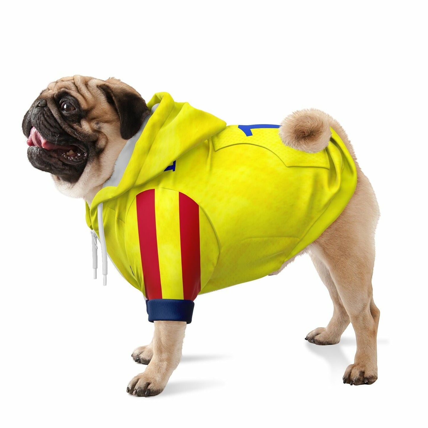 Dog wearing personalized Colombia national team zip up hoodie football fan outfit World Cup 2026