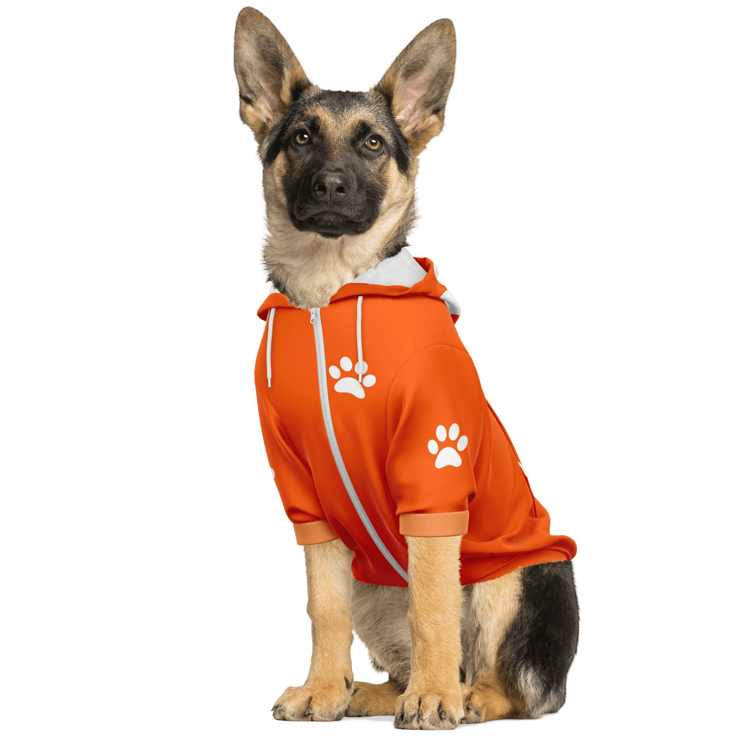 personalized dog hoodie in orange front view with custom name