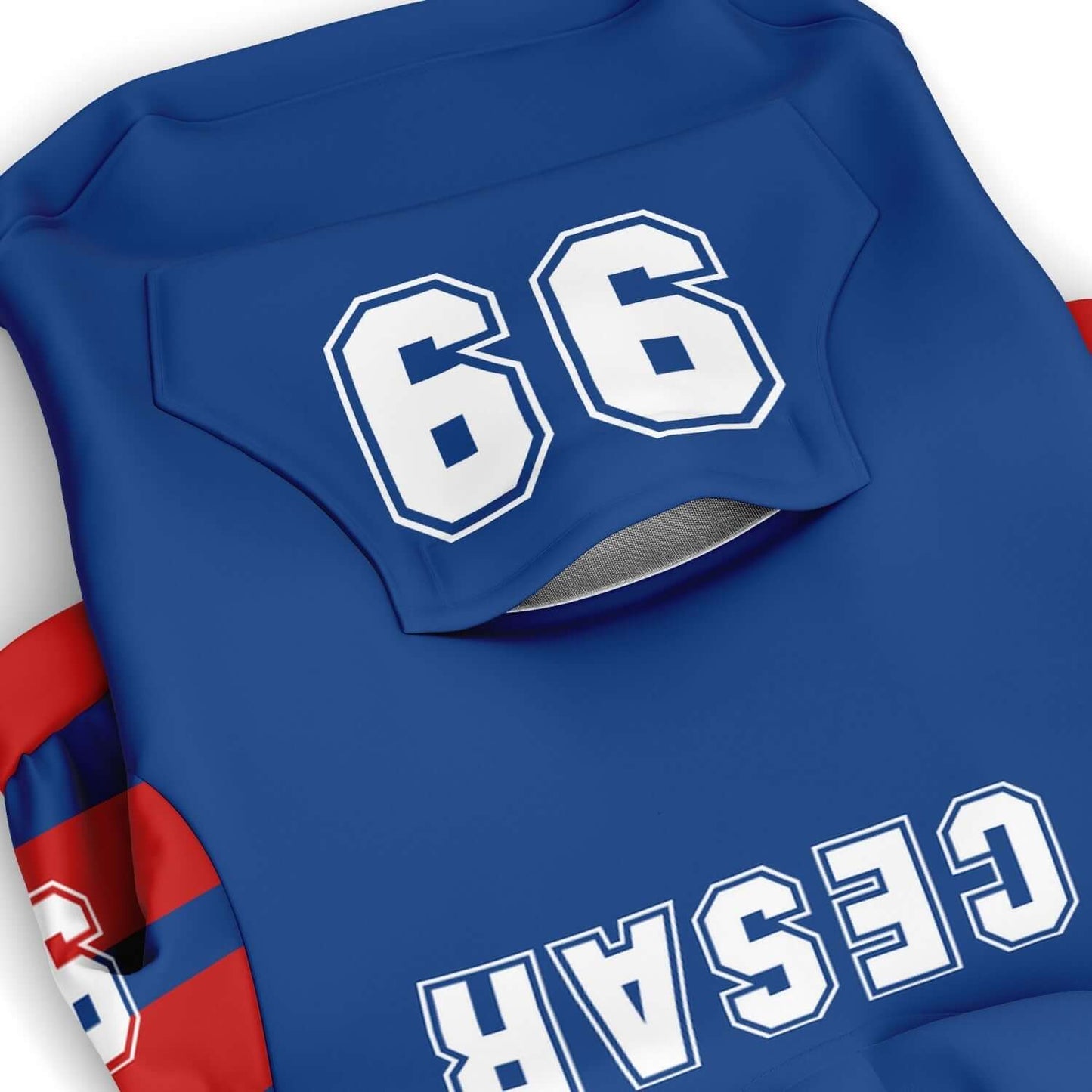 dog hoodie trikot design customizable