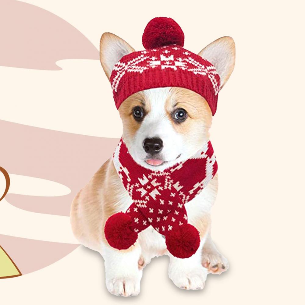 #dog_hoodie# - DoggyHoods