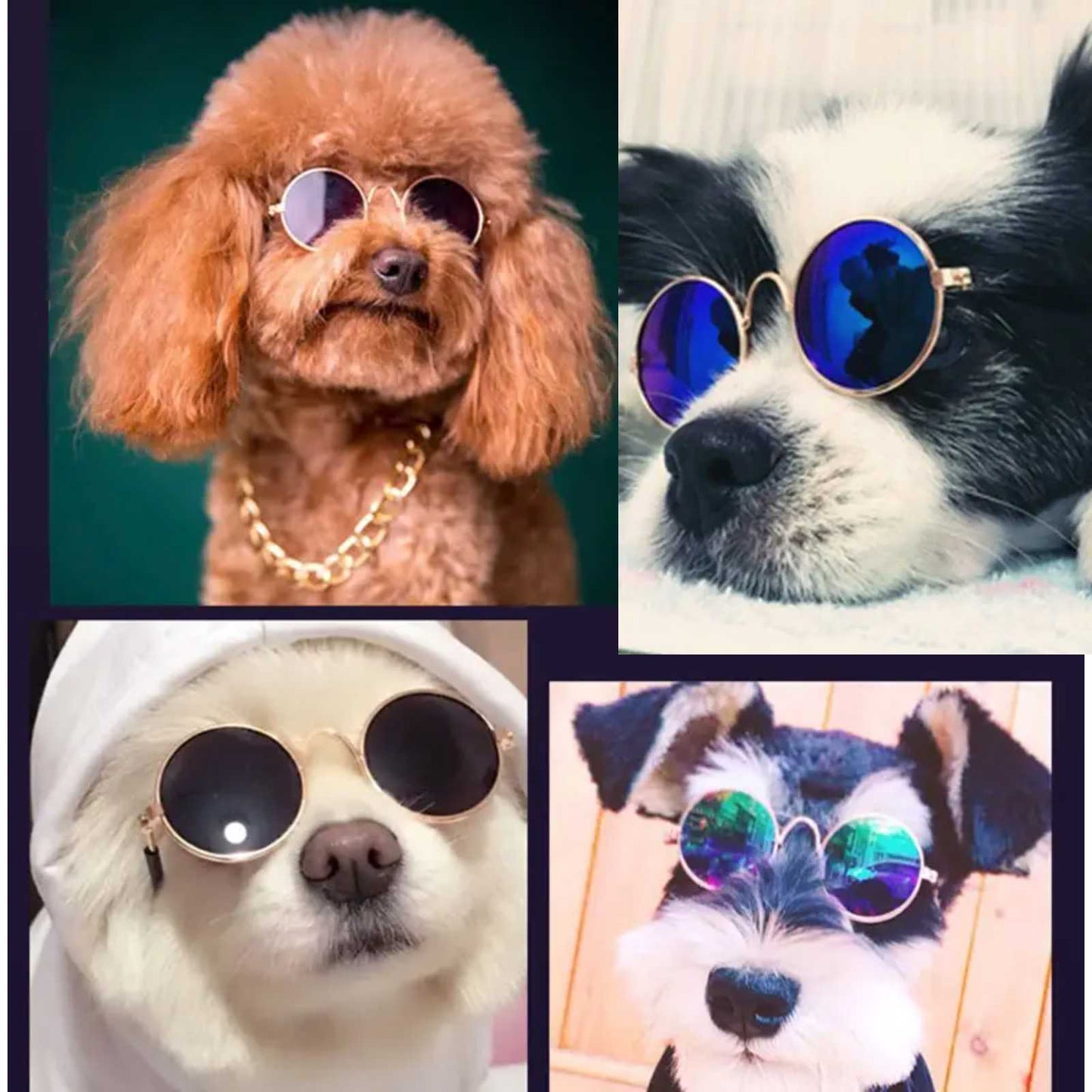 #dog_hoodie# - DoggyHoods