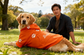 Man sitting with a golden retriever wearing an orange coat with 'Bella' on it in a park.
