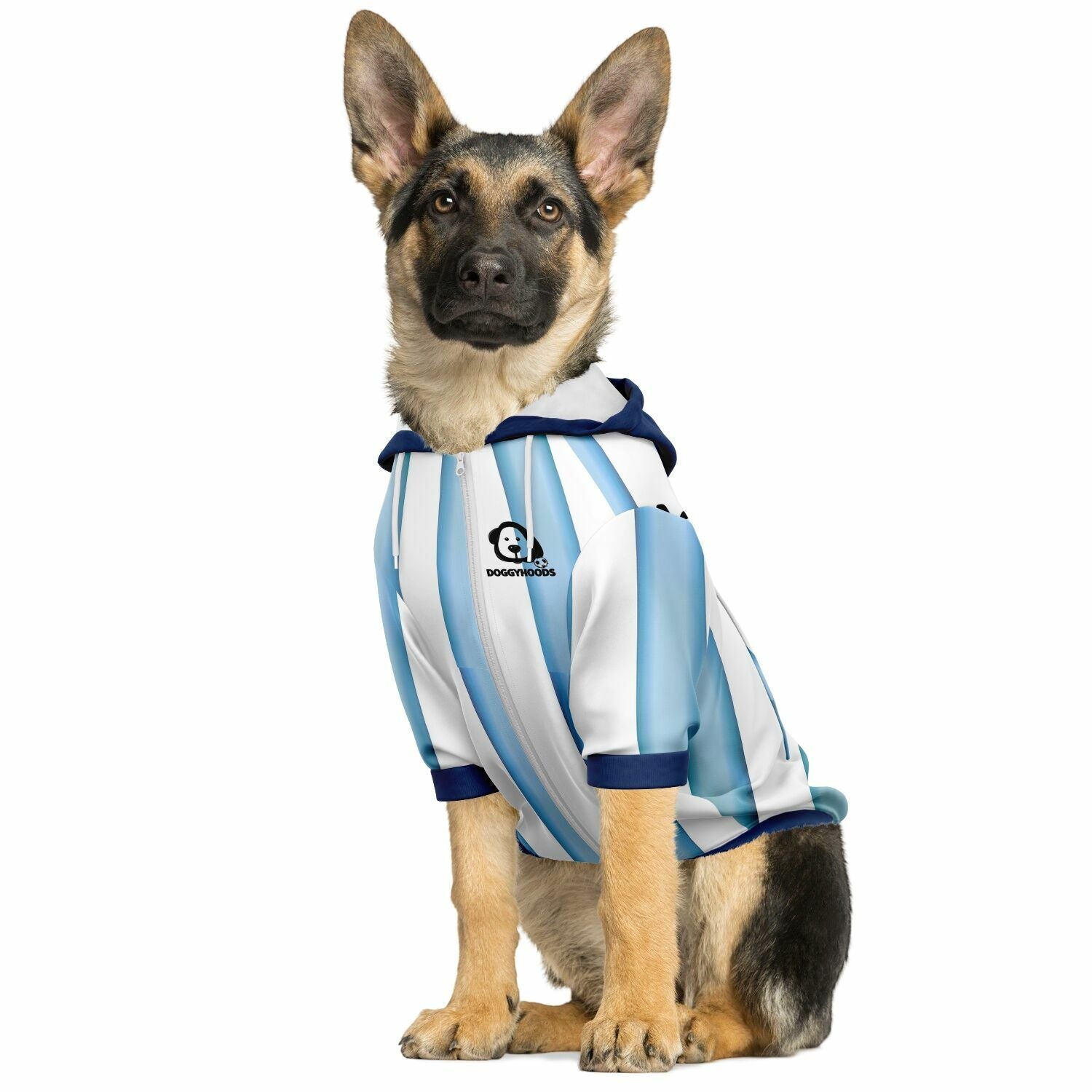 Personalized Argentina dog zip up hoodie national team style custom dog jersey all over print