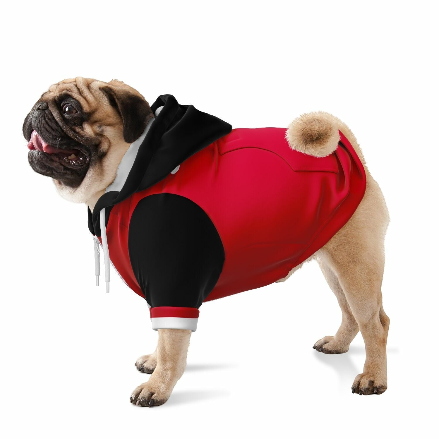 Dog wearing personalized Austria national team zip up hoodie football fan outfit World Cup 2026