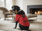 dog_hoodie - DoggyHoods