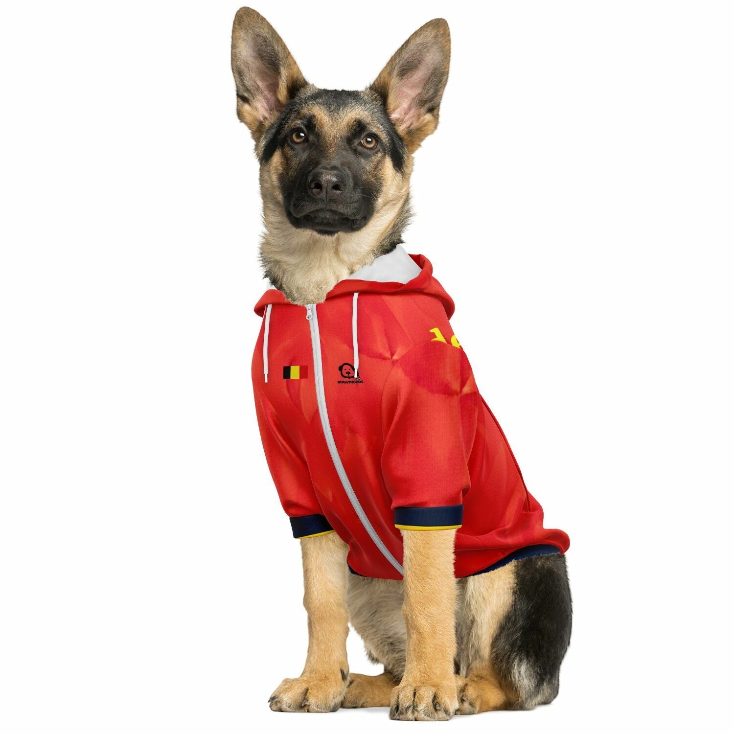 Dog wearing personalized Belgium national team zip up hoodie football fan outfit World Cup 2026