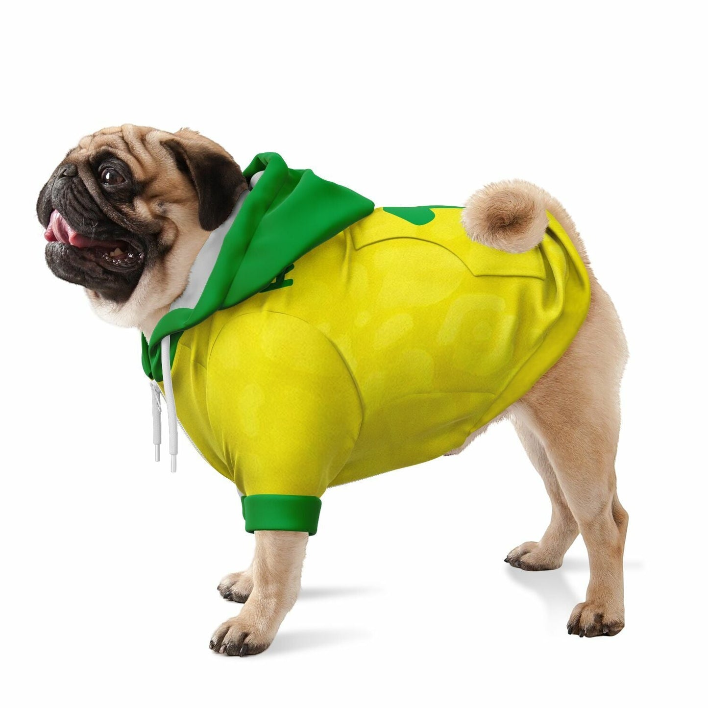 Dog wearing personalized Brazil national team zip up hoodie football fan outfit World Cup 2026
