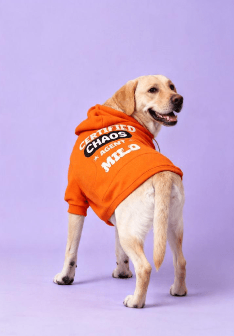 dog_hoodie - DoggyHoods