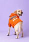 dog_hoodie - DoggyHoods