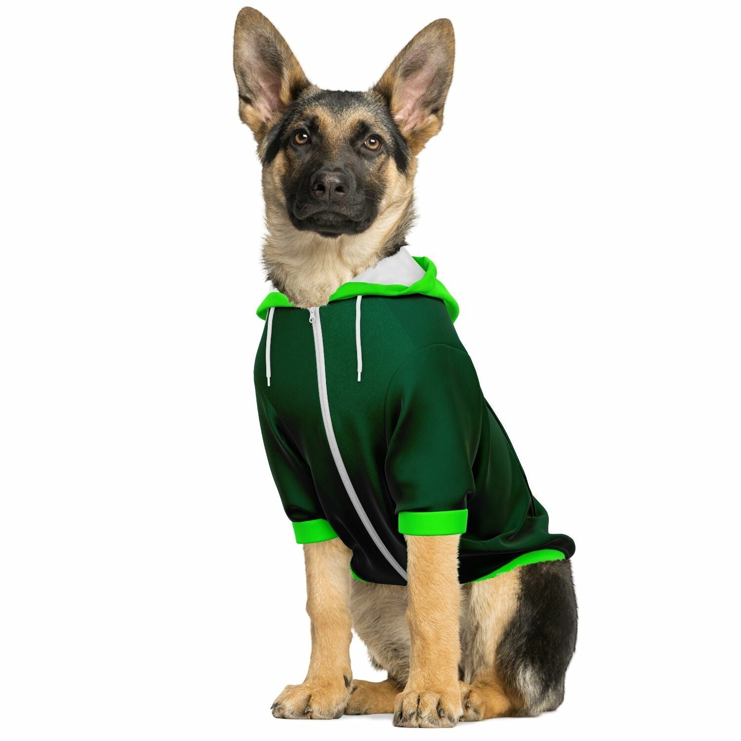 dog_hoodie - DoggyHoods