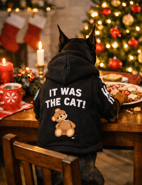 dog_hoodie - DoggyHoods