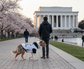 dog_hoodie - DoggyHoods