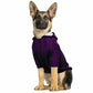 dog_hoodie - DoggyHoods