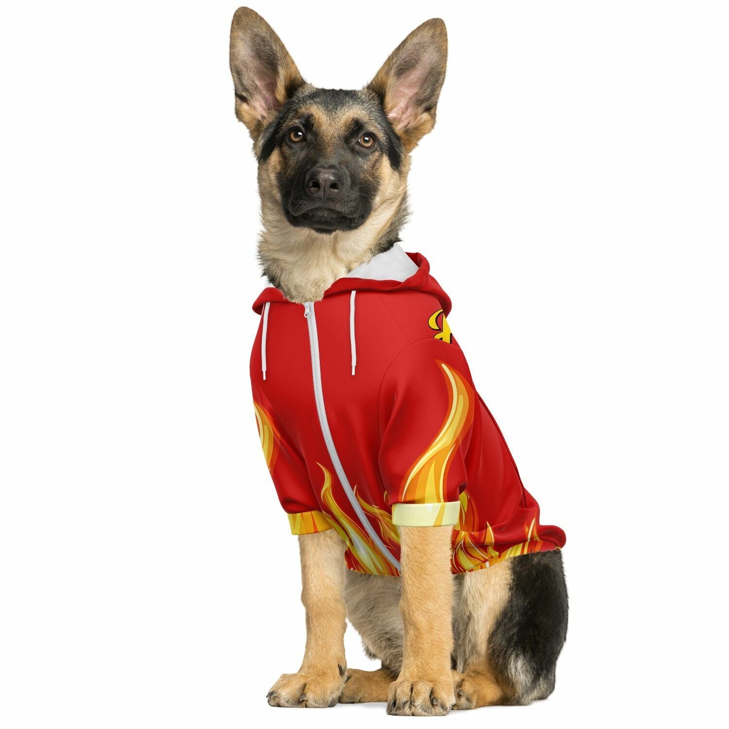 dog_hoodie - DoggyHoods