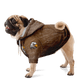 dog_hoodie - DoggyHoods