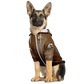 dog_hoodie - DoggyHoods