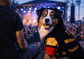 dog_hoodie - DoggyHoods
