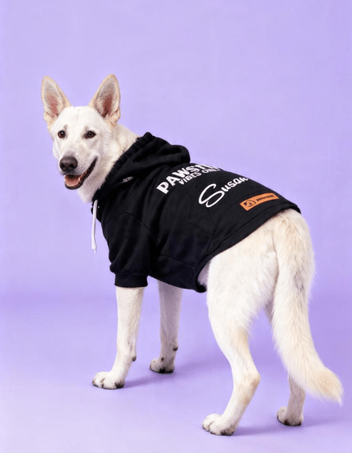 dog_hoodie - DoggyHoods
