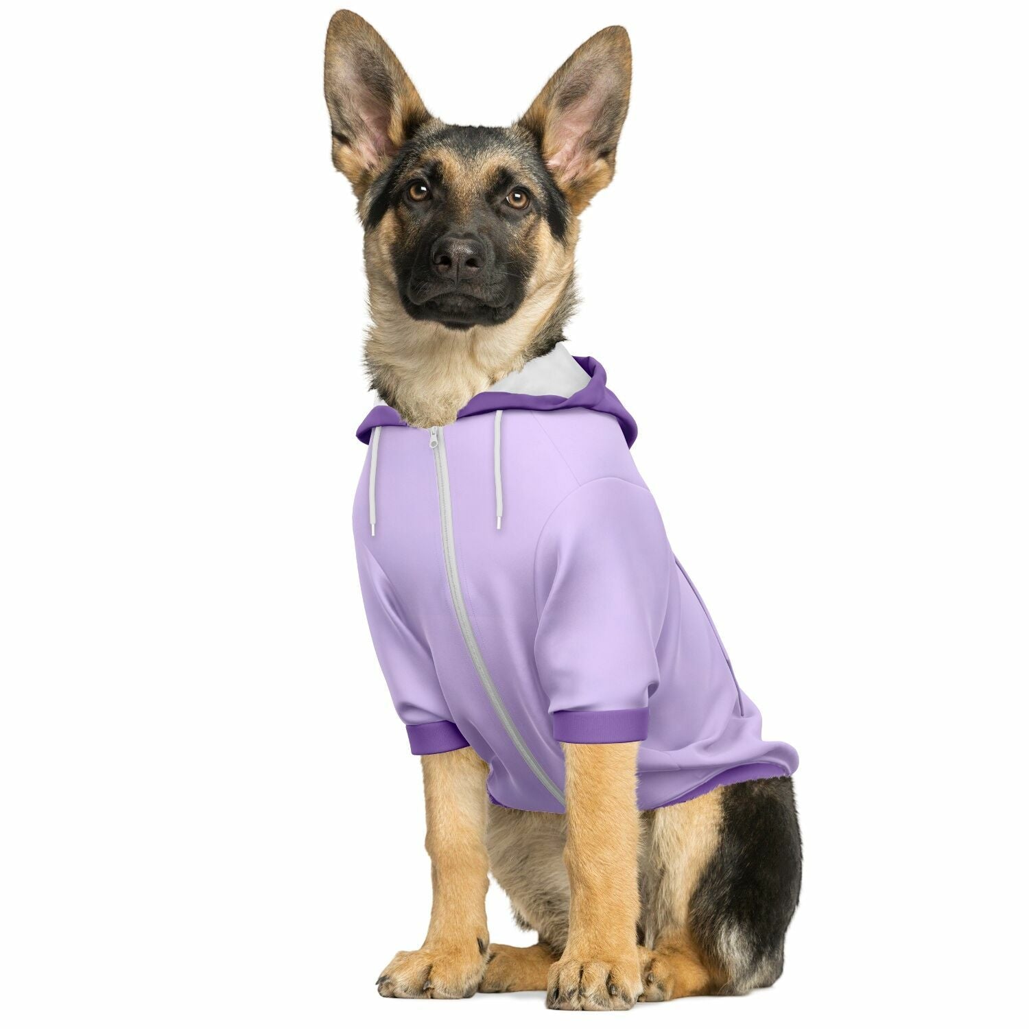 dog_hoodie - DoggyHoods