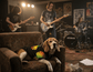 dog_hoodie - DoggyHoods