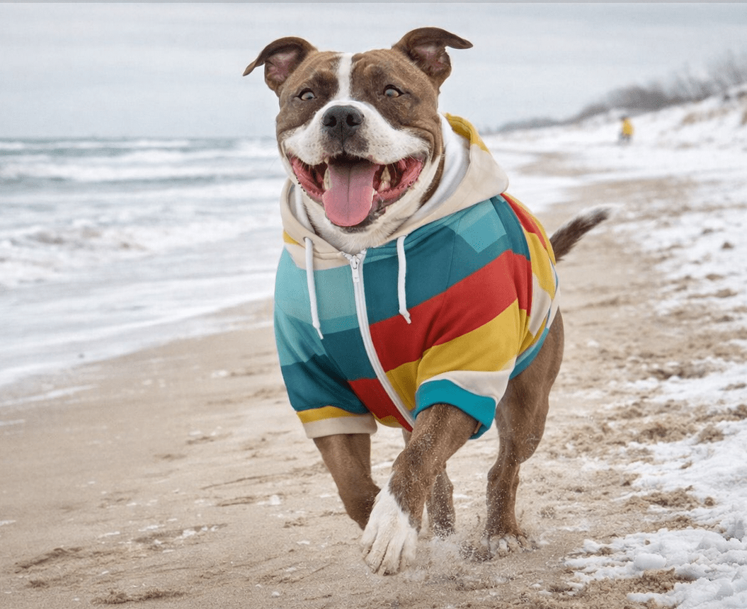 dog_hoodie - DoggyHoods