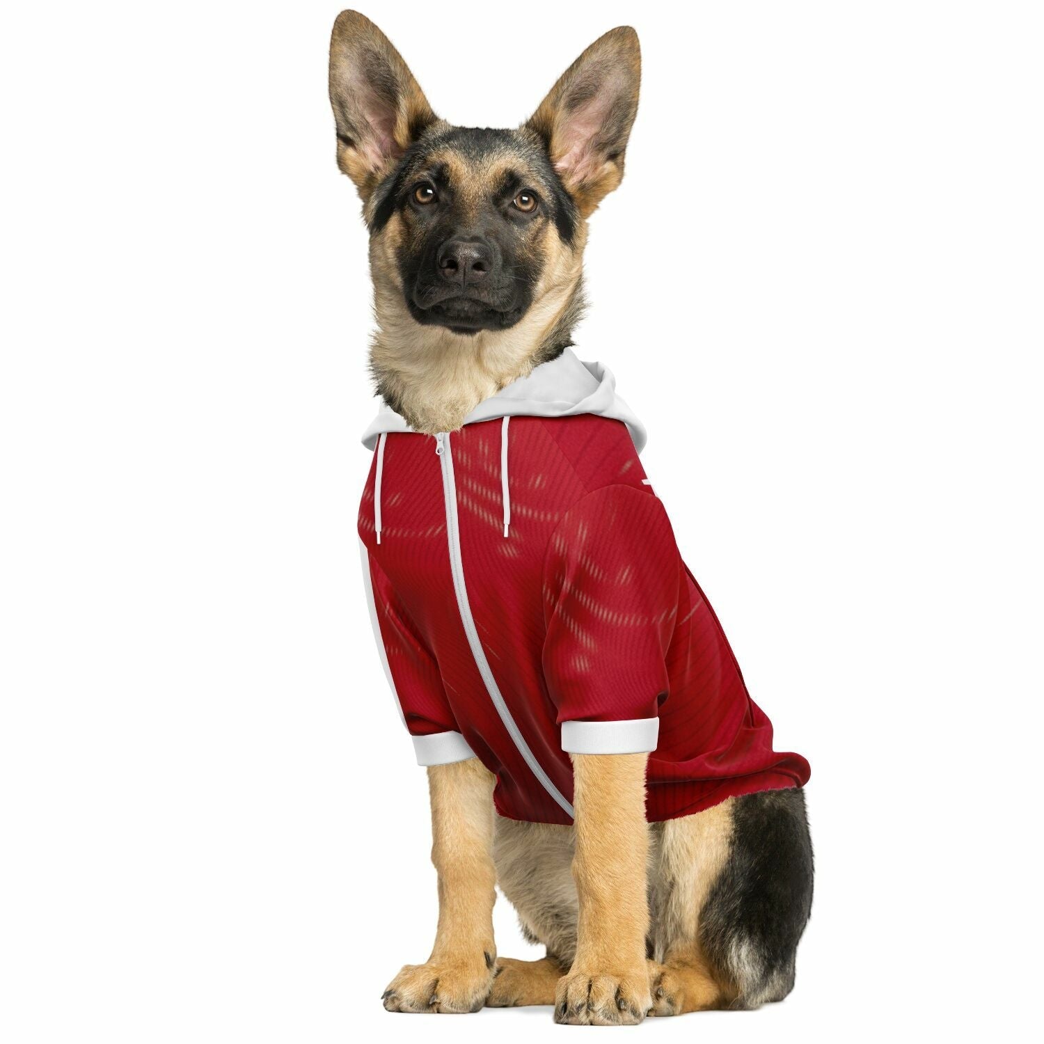 dog_hoodie - DoggyHoods
