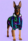dog_hoodie - DoggyHoods