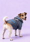 dog_hoodie - DoggyHoods
