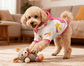 dog_hoodie - DoggyHoods