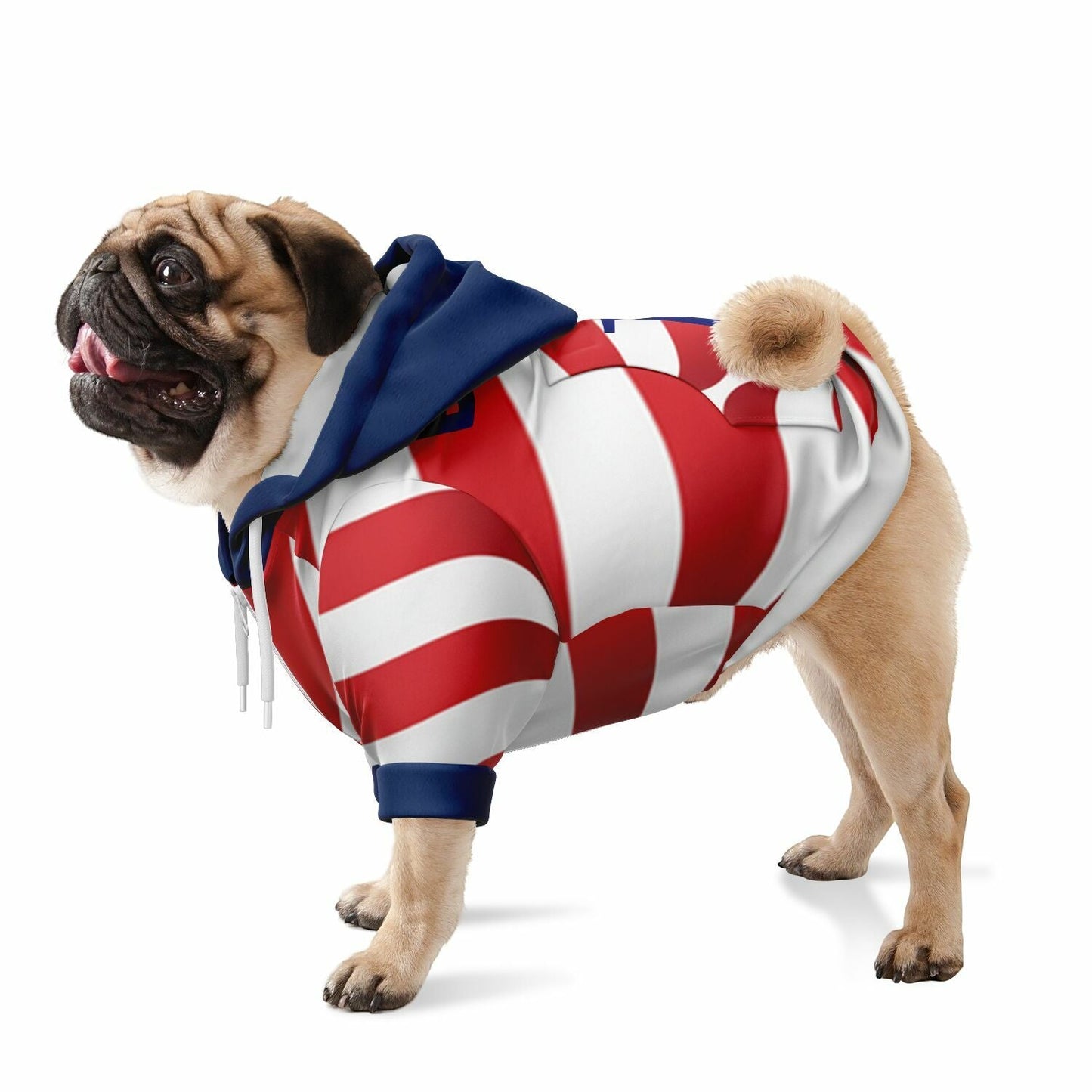 dog_hoodie - DoggyHoods