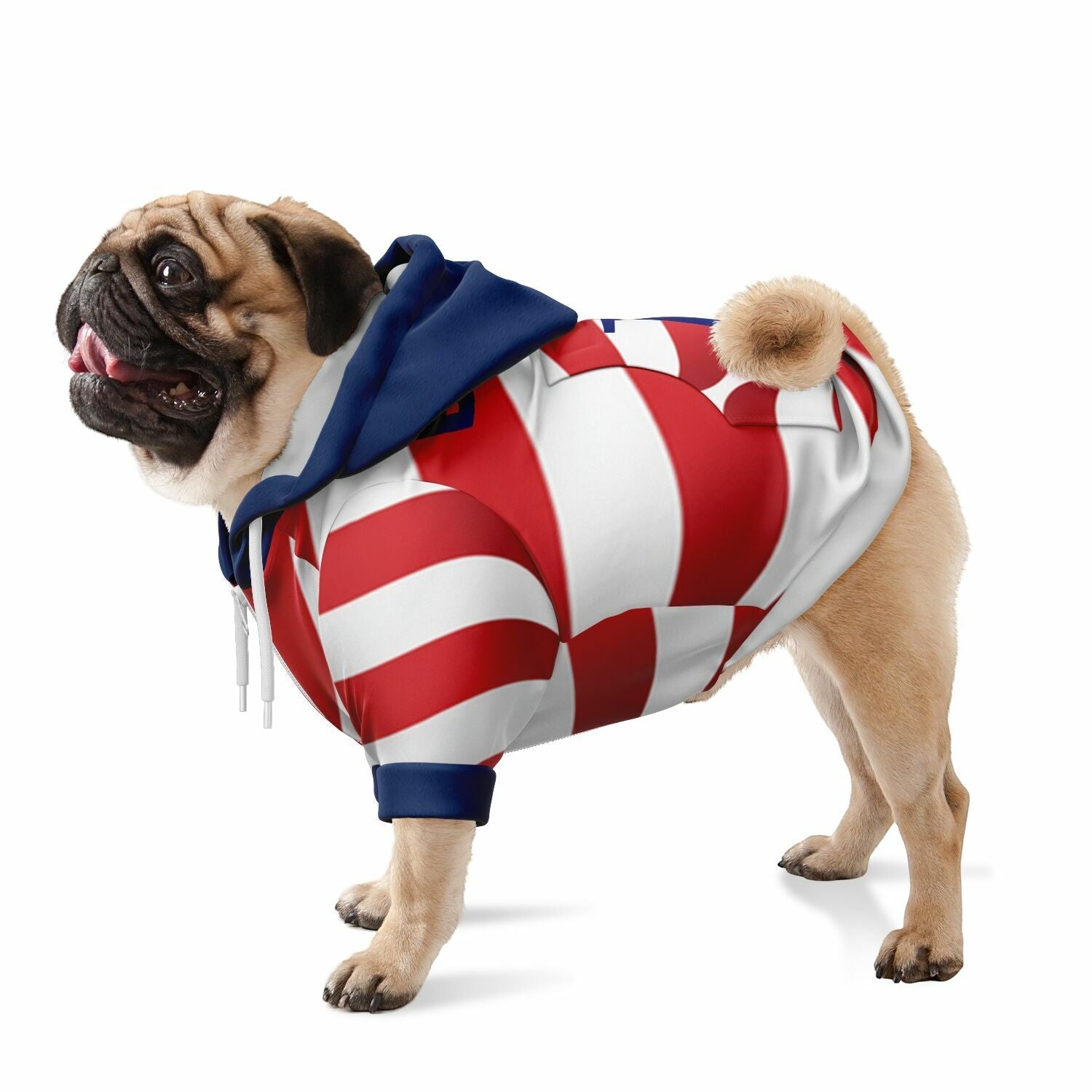 dog_hoodie - DoggyHoods
