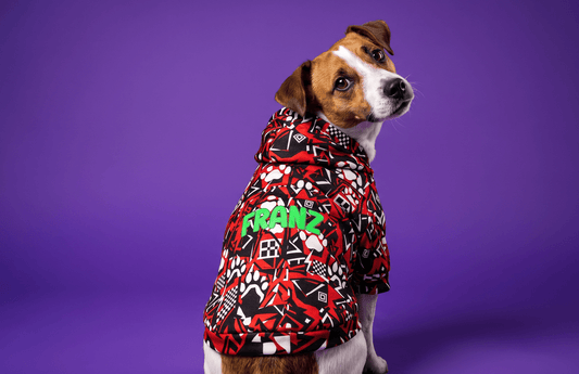 dog_hoodie - DoggyHoods