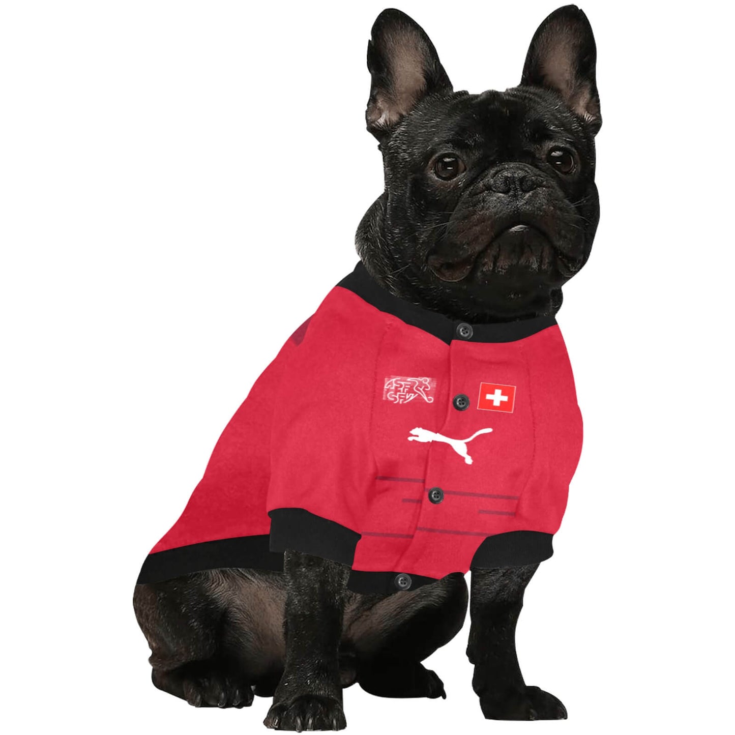 Hunde Trikot | Schweiz