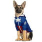 AVENGERS DOG HOODIE - DoggyHoods
