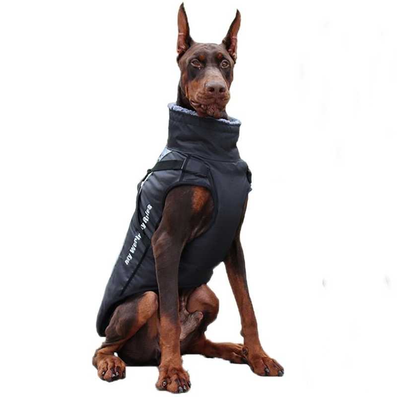 #dog_hoodie# - DoggyHoods