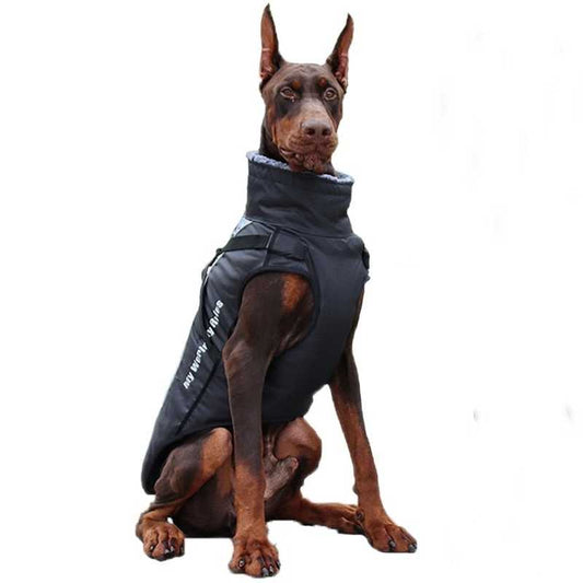 #dog_hoodie# - DoggyHoods