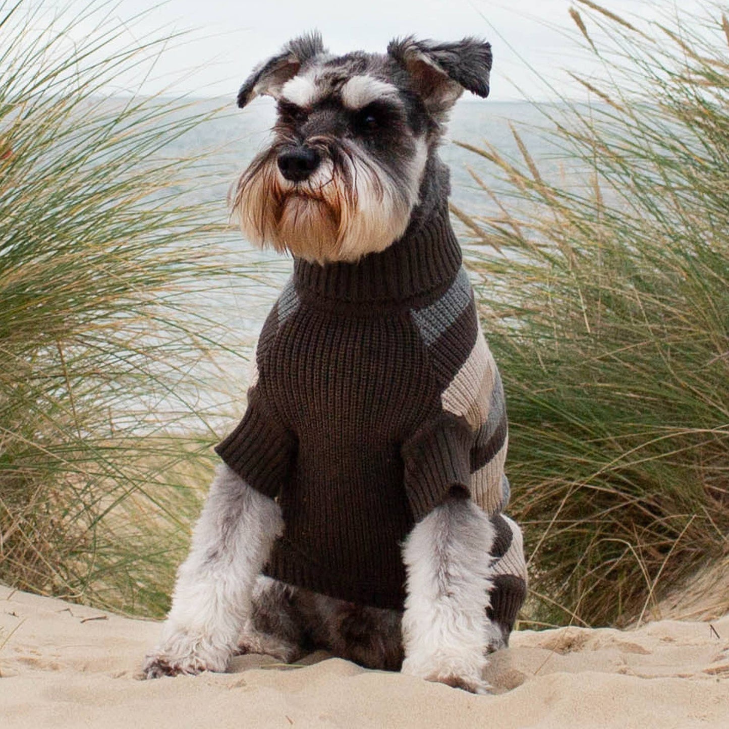 #dog_hoodie# - DoggyHoods