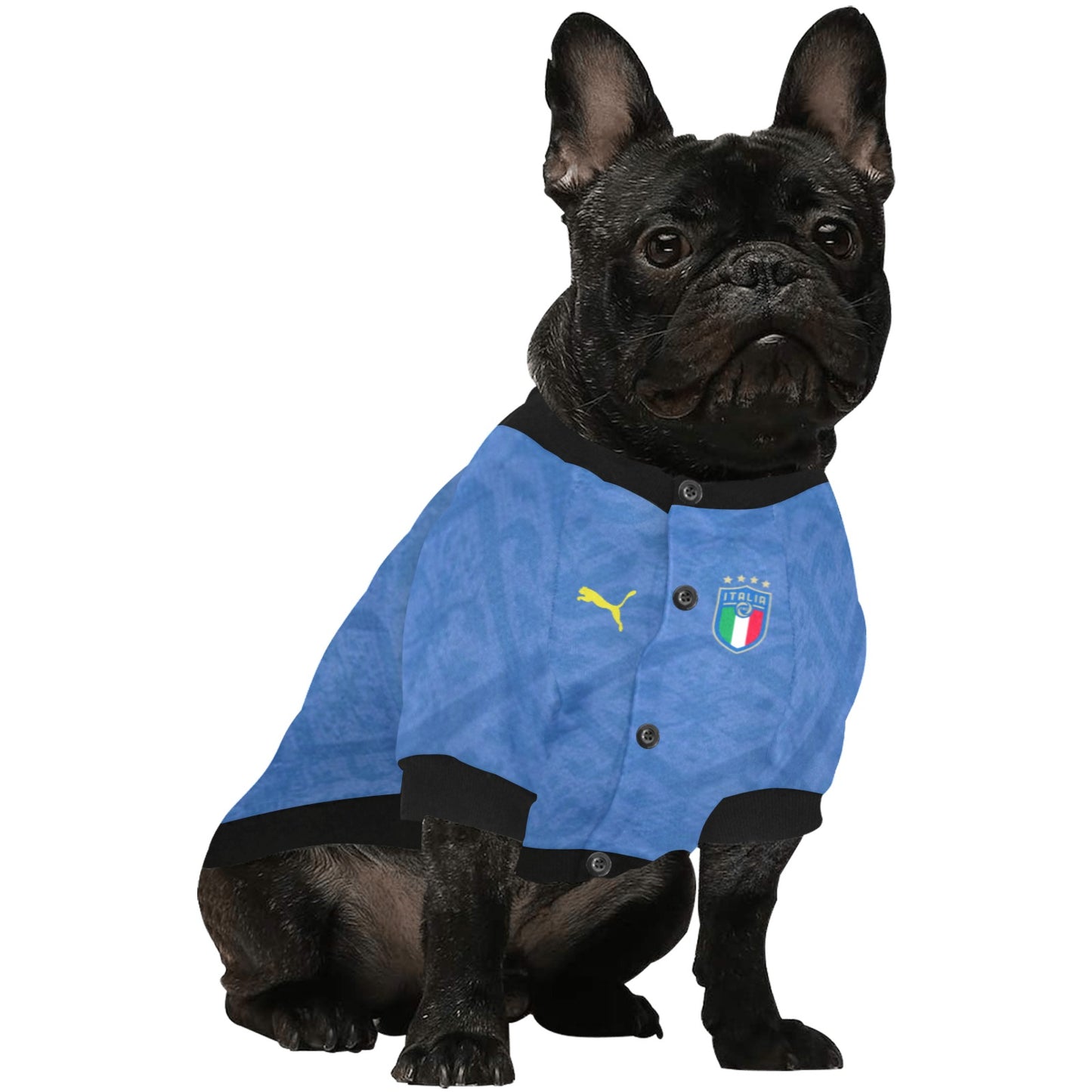 custom dog trikot