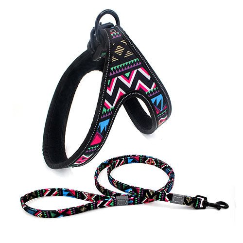 Colorful Dog Leash - DoggyHoods
