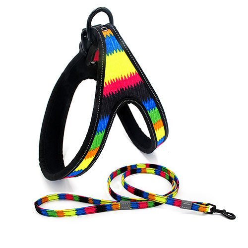 Colorful Dog Leash - DoggyHoods
