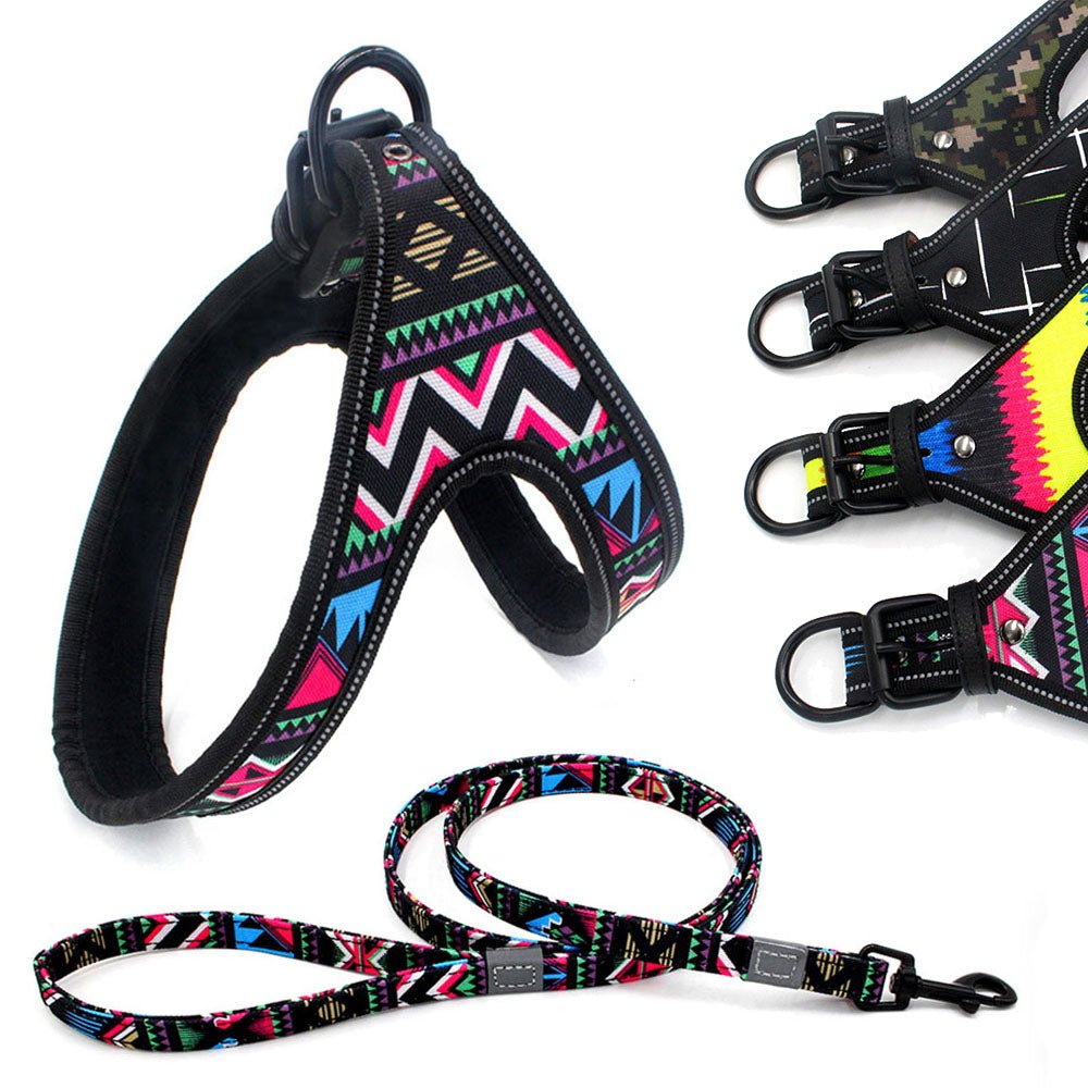 Colorful Dog Leash - DoggyHoods
