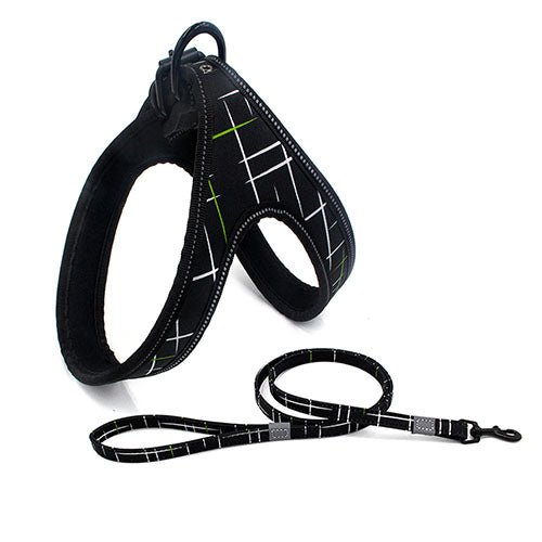 Colorful Dog Leash - DoggyHoods