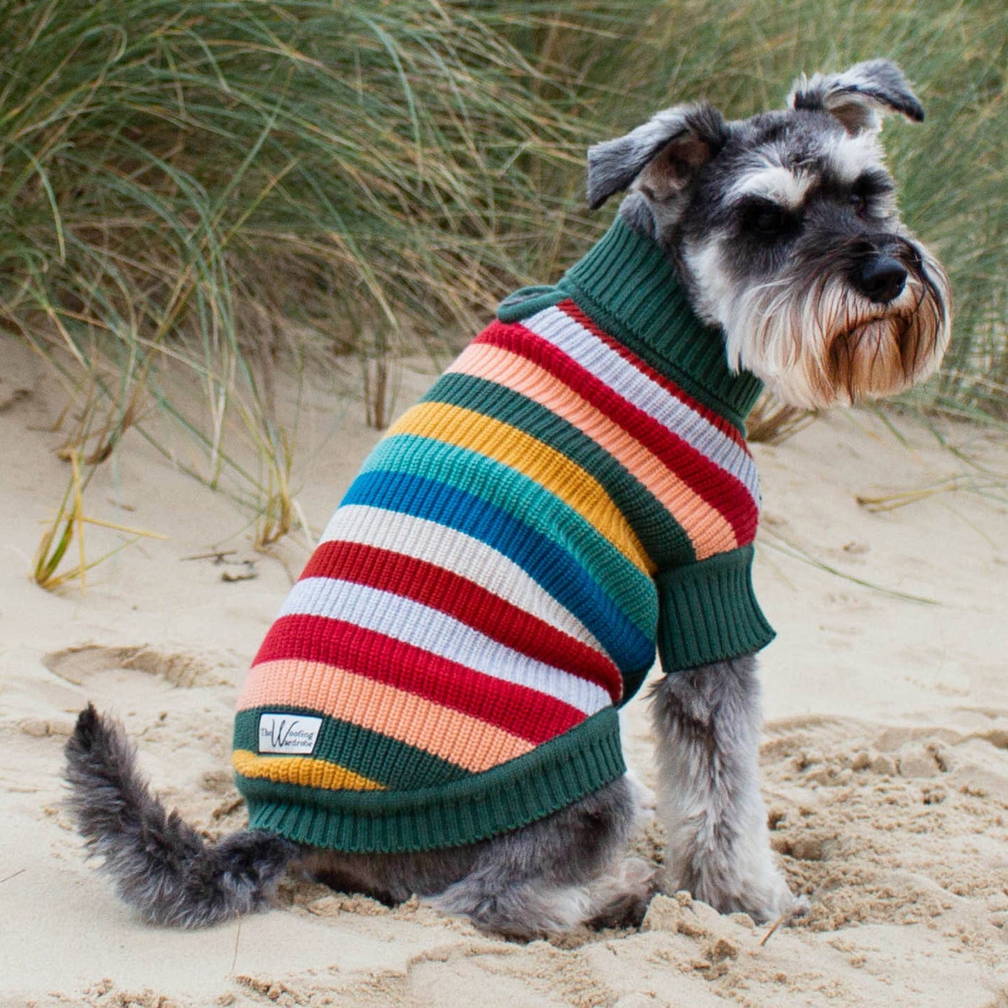 #dog_hoodie# - DoggyHoods