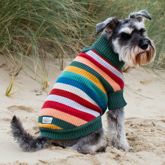 #dog_hoodie# - DoggyHoods