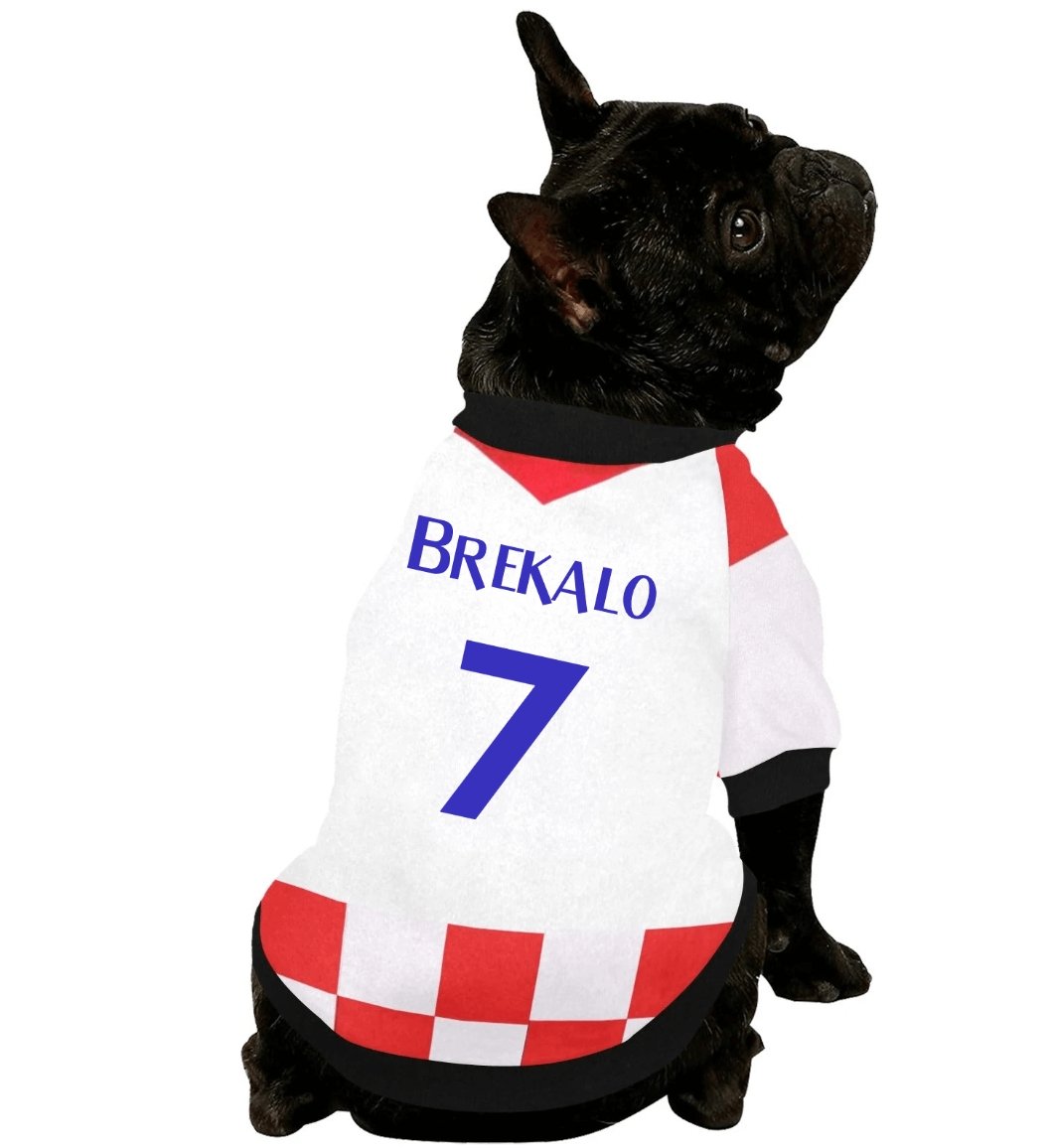 #dog_hoodie# - DoggyHoods