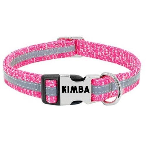 Custom Collar - DoggyHoods