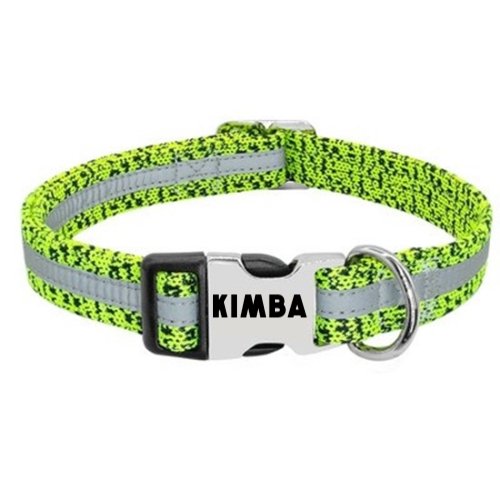 Custom Collar - DoggyHoods