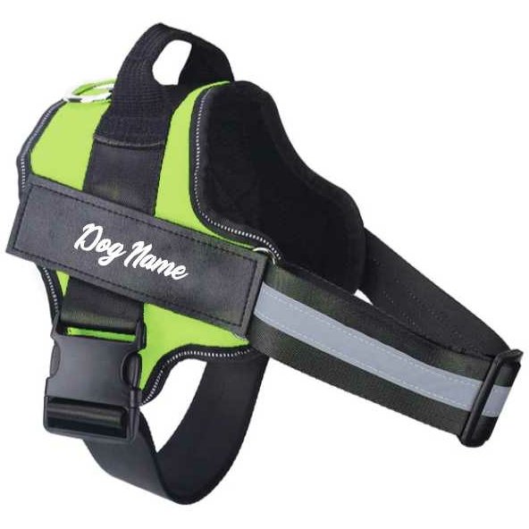 Custom Name Dog Harness - DoggyHoods