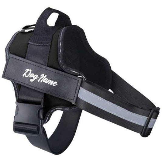 Custom Name Dog Harness - DoggyHoods